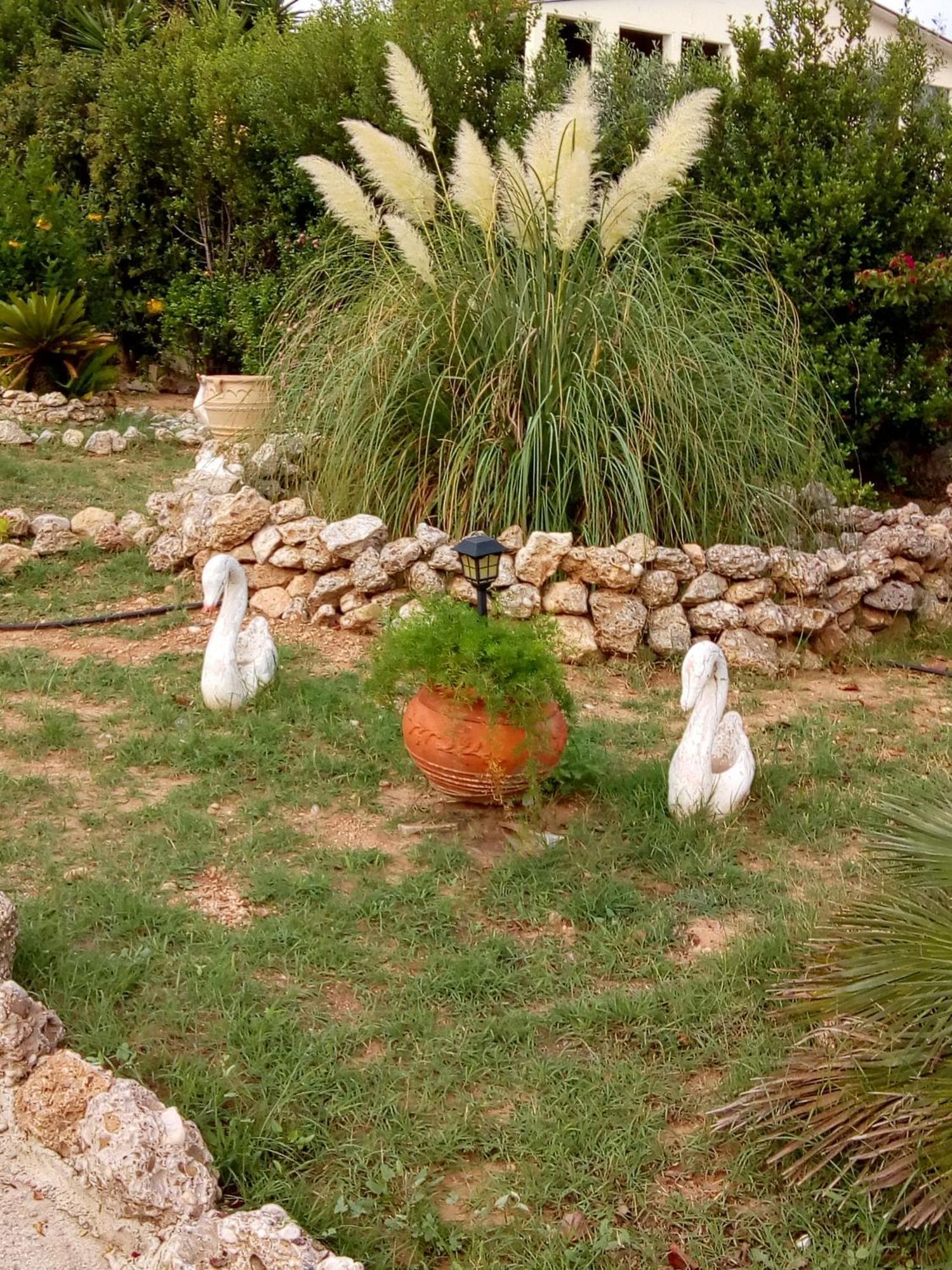Villa Rita - بورتو خيلي المظهر الخارجي الصورة